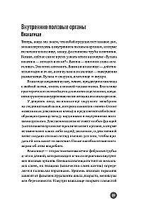 Žemiau juosmens. Atvirai apie slepiamus dalykus