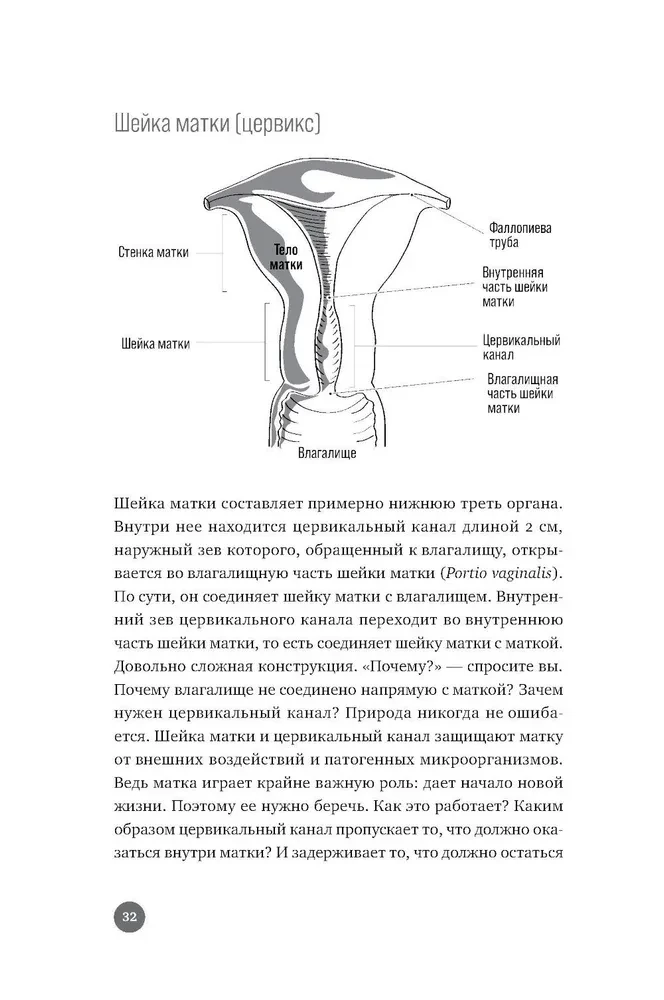 Žemiau juosmens. Atvirai apie slepiamus dalykus