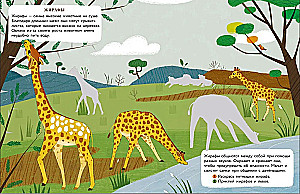 World of Animals. Stickers. In Africa