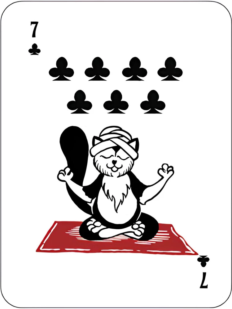 Karty do gry - Zabawne kotki (36 kart)