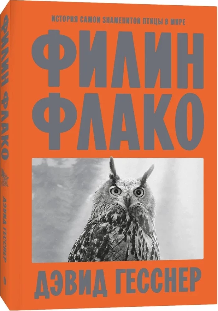 Sowa Fłako. Historia najsłynniejszego ptaka na świecie