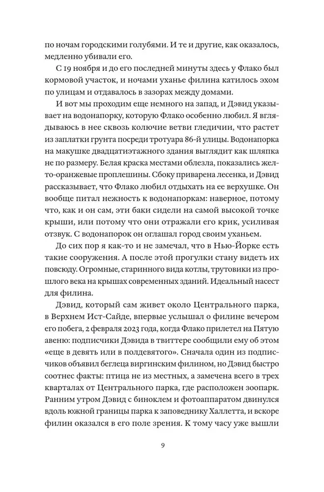 Sowa Fłako. Historia najsłynniejszego ptaka na świecie