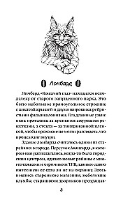 Kassisilma maagiline hetk