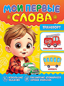 Transport