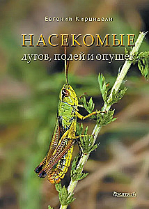 Insekten der Wiesen, Felder und Lichtungen