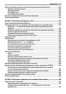 Pamata matemātika mākslīgajam intelektam. Jauna līmeņa matemātika efektīvām un veiksmīgām AI sistēmām