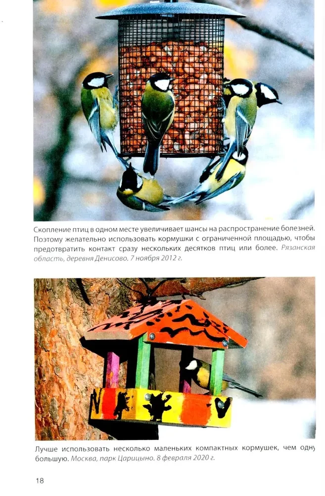 Vögel an Futterstellen. Fütterung und Anziehung