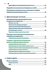 Diagnostyka topograficzna w neurologii według Petera Duusa: anatomia, fizjologia, klinika