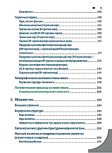 Diagnostyka topograficzna w neurologii według Petera Duusa: anatomia, fizjologia, klinika