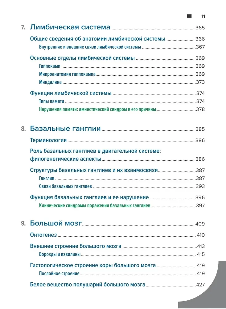 Diagnostyka topograficzna w neurologii według Petera Duusa: anatomia, fizjologia, klinika