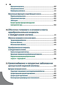 Diagnostyka topograficzna w neurologii według Petera Duusa: anatomia, fizjologia, klinika