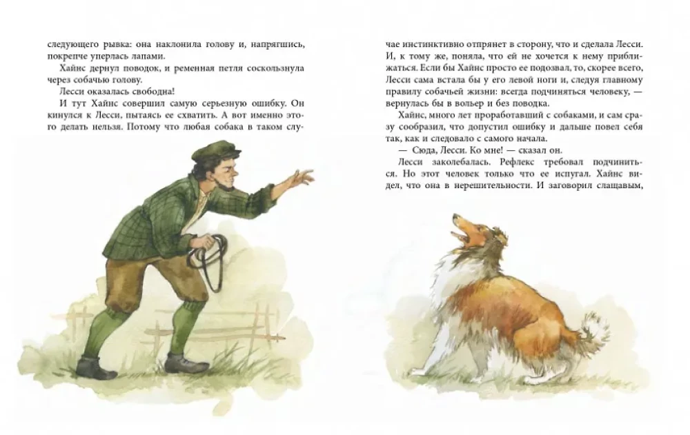 Lassie
