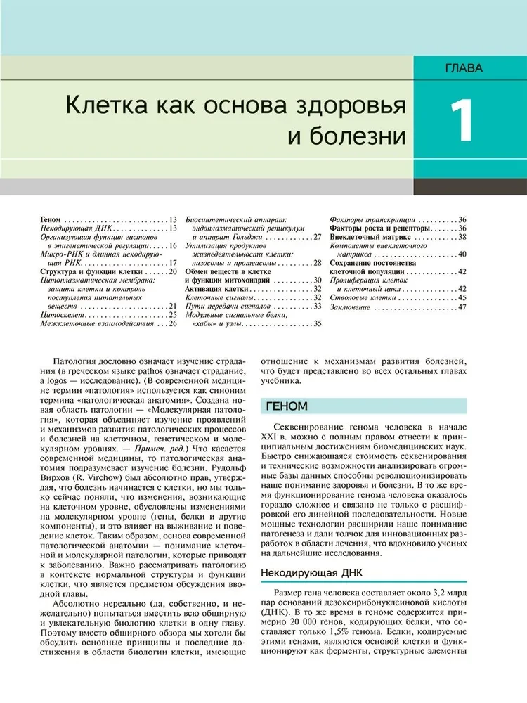Патологическая анатомия по Роббинсу: Учебник