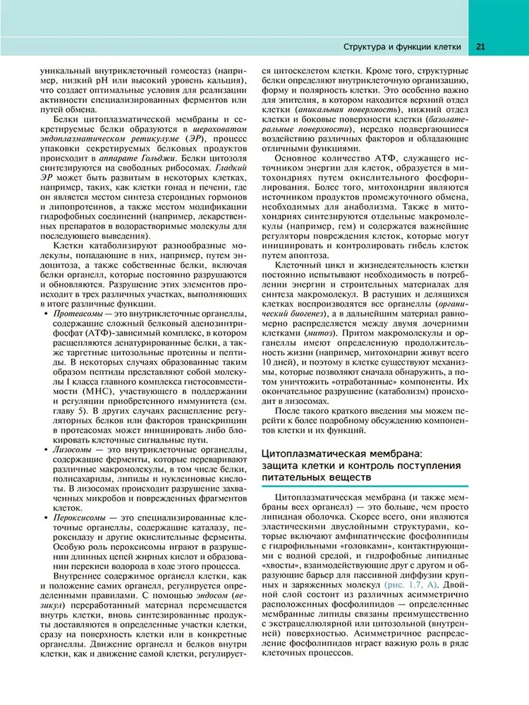 Патологическая анатомия по Роббинсу: Учебник
