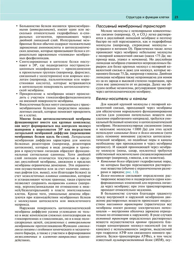 Патологическая анатомия по Роббинсу: Учебник