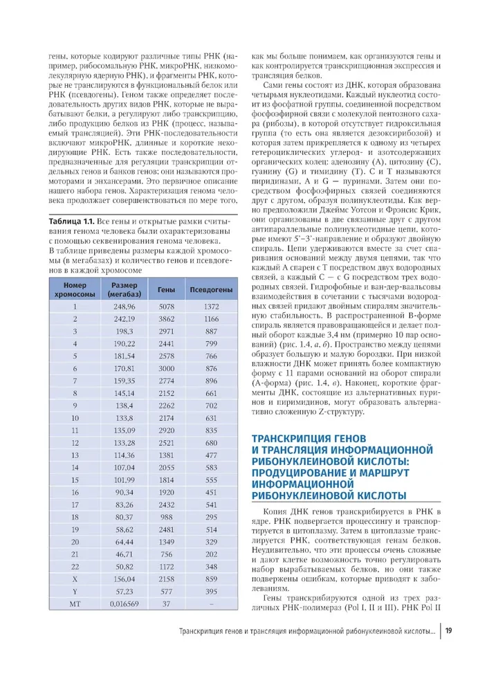 Książka ilustrowana kolorowym atlasem hematologii klinicznej: molekularne i komórkowe podłoże chorób: przewodnik