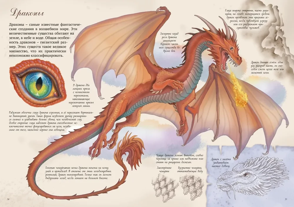 Magiczne Stworzenia. Encyklopedia