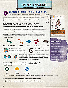 Настольная игра - Крылья