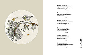 Мир в капле (комплект из 2-х книг)