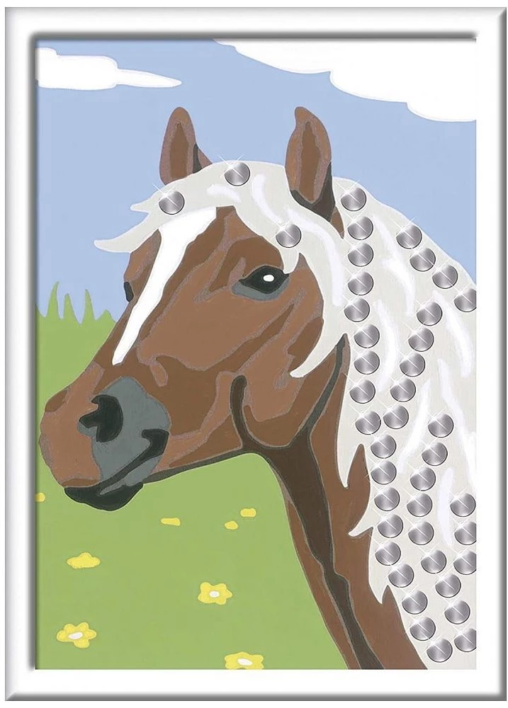 Paint by Numbers 13x18cm - Horse