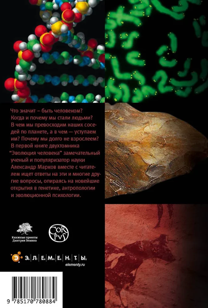 Ewolucja człowieka. T.1 Małpy, kości i geny