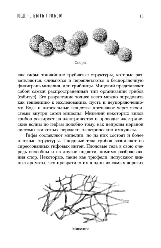 Twisted Life. How Mushrooms Change the World, Our Consciousness, and Our Future
