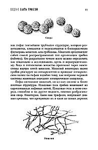 Twisted Life. How Mushrooms Change the World, Our Consciousness, and Our Future