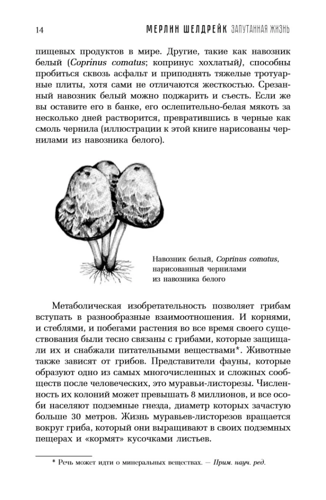 Twisted Life. How Mushrooms Change the World, Our Consciousness, and Our Future