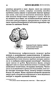 Twisted Life. How Mushrooms Change the World, Our Consciousness, and Our Future