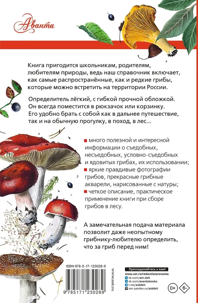 Mushrooms of Russia. A Guide