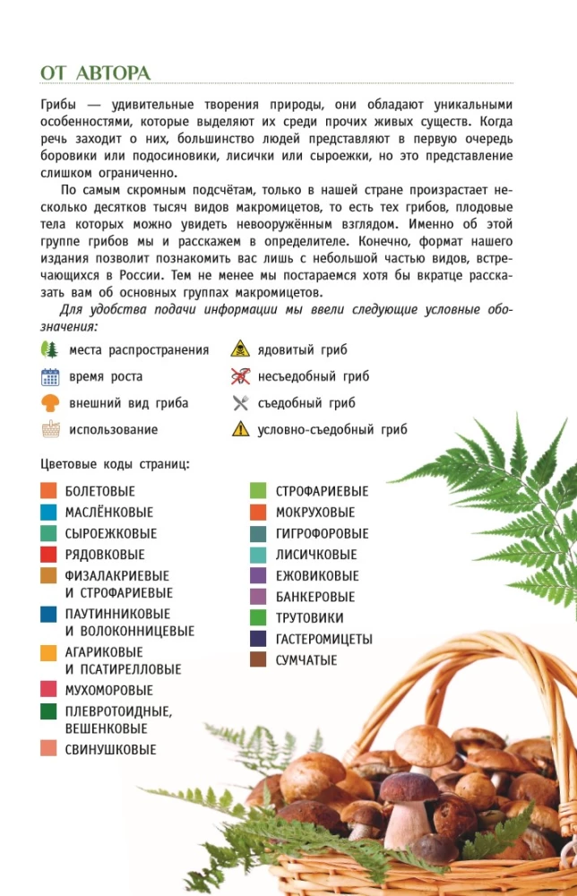 Mushrooms of Russia. A Guide