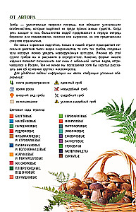 Mushrooms of Russia. A Guide