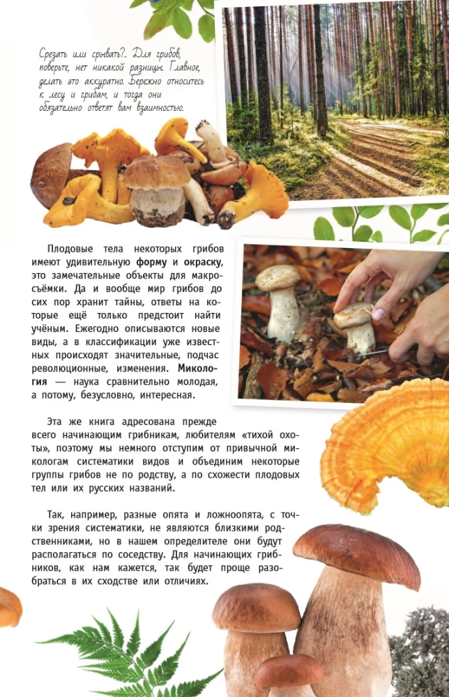 Mushrooms of Russia. A Guide