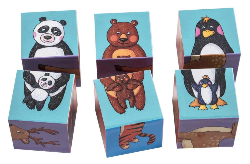 IQ Cubes - Who Lives in the Zoo?