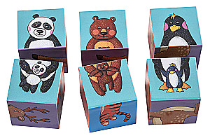 IQ Cubes - Who Lives in the Zoo?