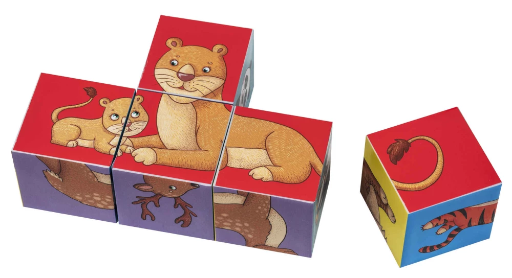 IQ Cubes - Who Lives in the Zoo?