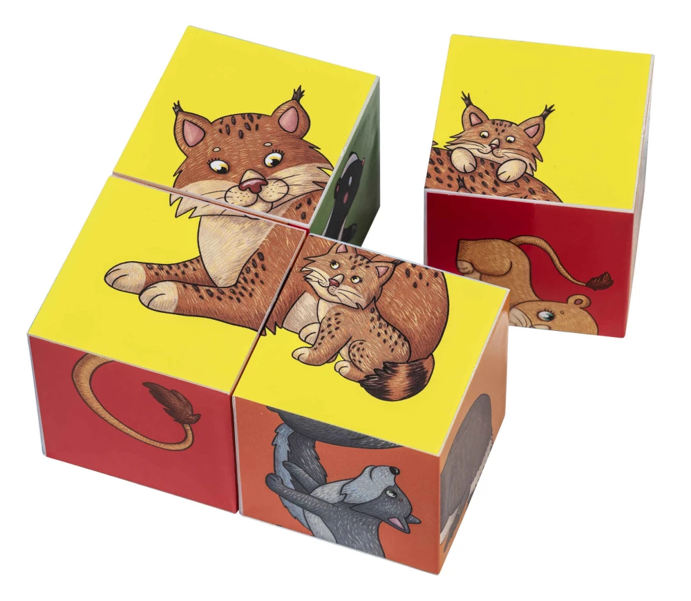 IQ Cubes - Who Lives in the Zoo?