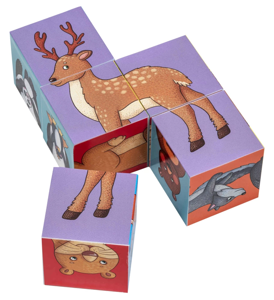 IQ Cubes - Who Lives in the Zoo?