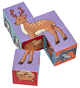 IQ Cubes - Who Lives in the Zoo?