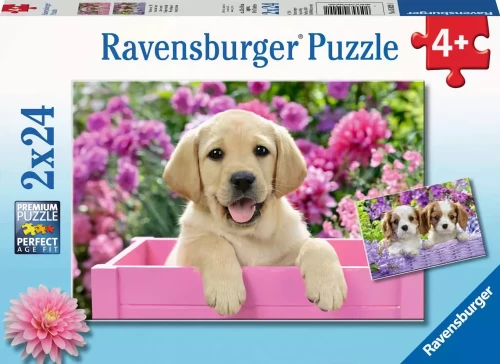Puzzle: 2x24 - Freunde mit flauschigen Schwänzen