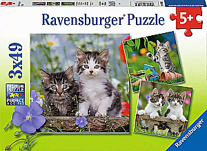 Puzzle:3x49 - Urocze kocięta