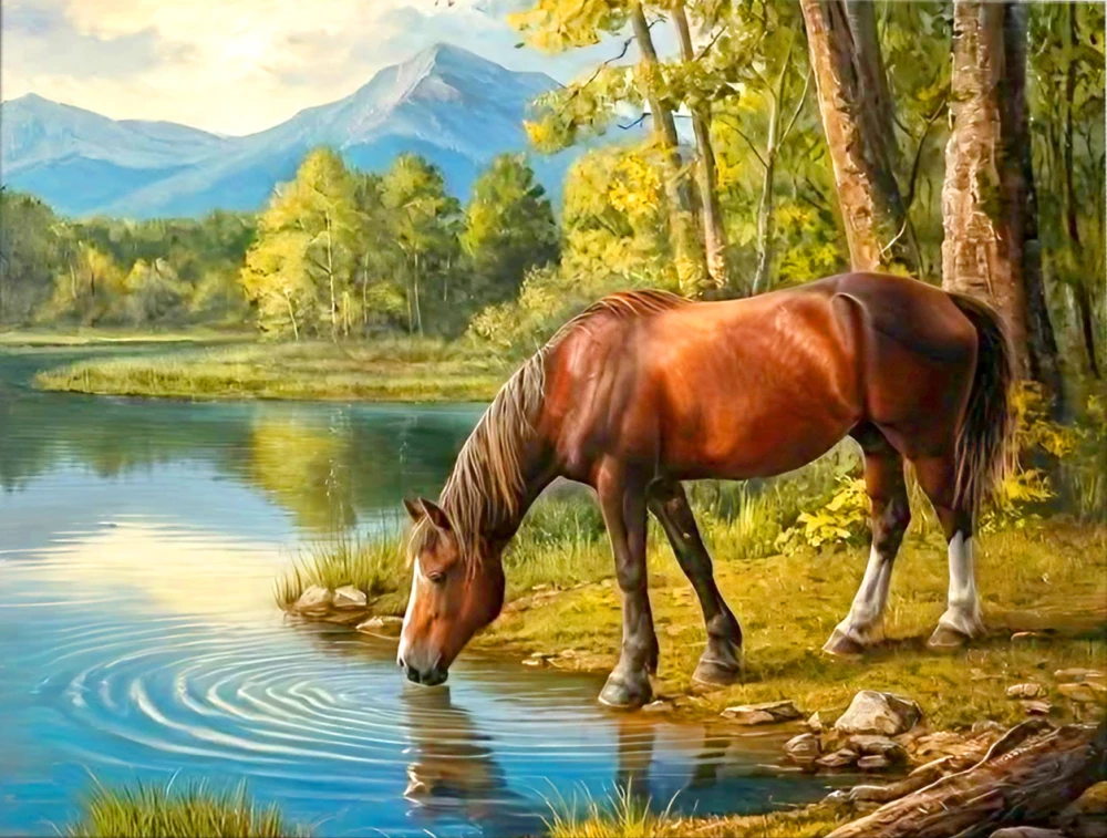 Obraz do malowania po numerach 40x50 cm - Koń przy wodopoju
