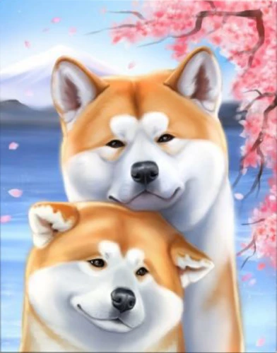 Glezna pēc numuriem 15x20 cm - Akita-Inu