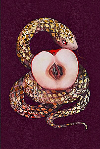 Tarot - Quelle der Schöpfung. Kreatives Tarot. Karten, erfüllt mit der Magie der Sexualität