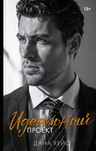 Идеальный проект