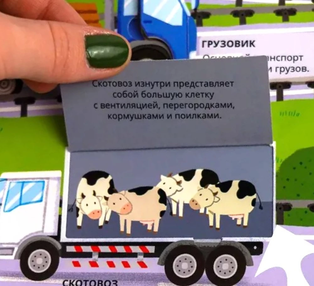 Visos-visos-visos apie transportą. Automobiliai, lėktuvai, laivai, traukiniai