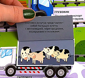 Visos-visos-visos apie transportą. Automobiliai, lėktuvai, laivai, traukiniai