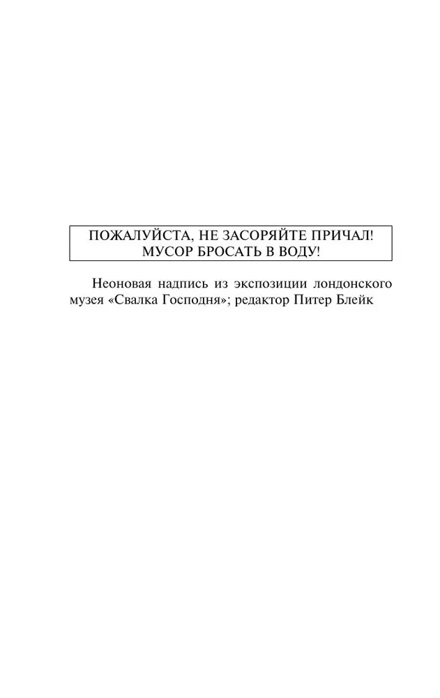 Овцы смотрят вверх