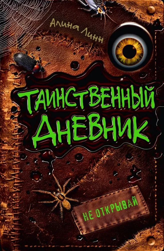 The Mysterious Diary