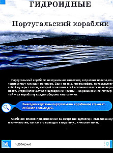 Niecodzienne zwierzęta